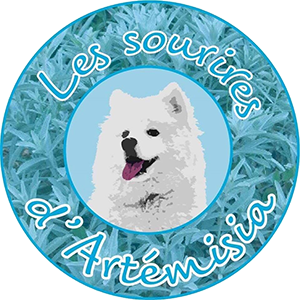 Les sourires d'Artémisia